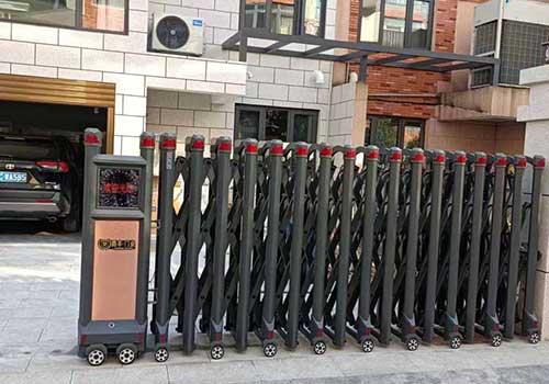 江西高安市青城林语别墅门口钢将军3号图1
